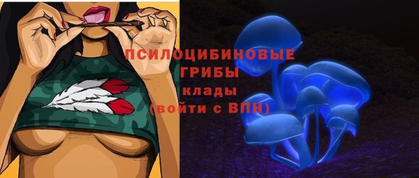 прущая мука Алзамай